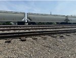 BPTX 185413